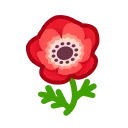 red windflowers