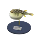 blowfish model