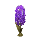 hyacinth lamp