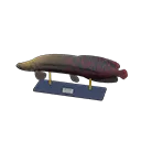 arapaima model