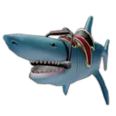 Shark