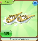 Snowy Snowshoes