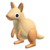Little Kangaroo