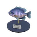 bluegill model