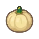 white pumpkin