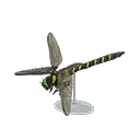 grand b. dragonfly model