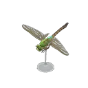 darner dragonfly model