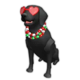 Festive Dog