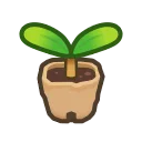 sapling