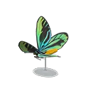 grand Q. A. birdwing model