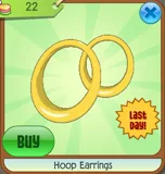Hoop Earrings