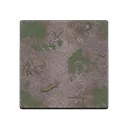 swamp flooring