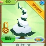 Pine Tree Collection