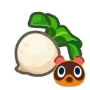 Sell Turnips