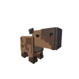 Capybara