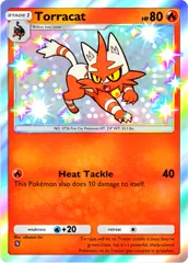 Torracat