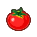 tomato