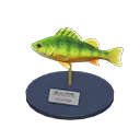 yellow perch model