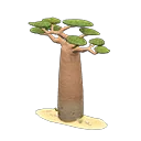 baobab