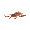 toy cockroach