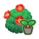 red-camellia start