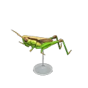 rice grasshopper model