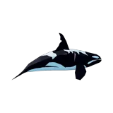 Orca