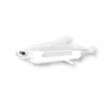 Ghost Minnow