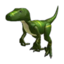 Raptor