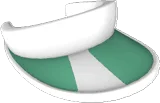Sun Visor