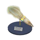 squid model