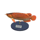 arowana model