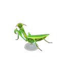 mantis model