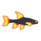 Molten Minnow