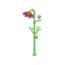 cosmos shower