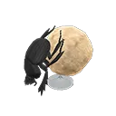 dung beetle model