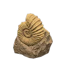 ammonite