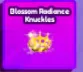 Blossom Radiance