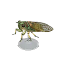 evening cicada model