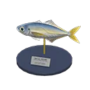 horse mackerel model