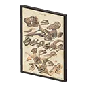framed fossil poster