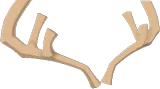 Deer Antlers