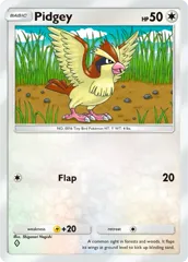 Pidgey