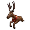 Reindeer