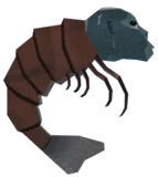 Shrimpanzee