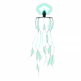 Bigfin Squid