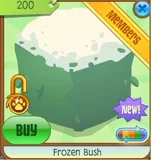 Frozen Bush