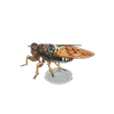 brown cicada model