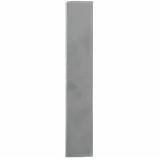 Dragon Pillar
