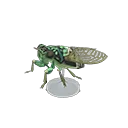 robust cicada model